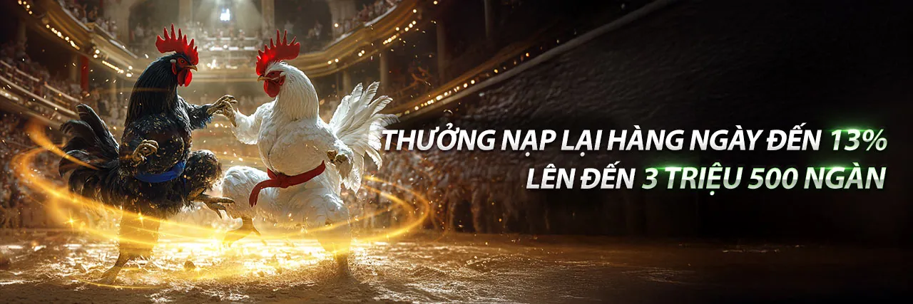 Chương trình Đại lý BG88